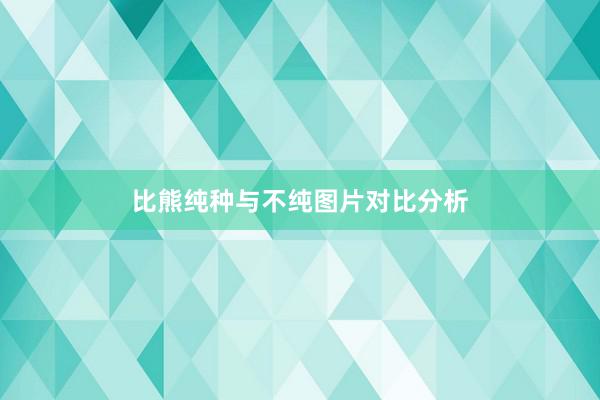 比熊纯种与不纯图片对比分析