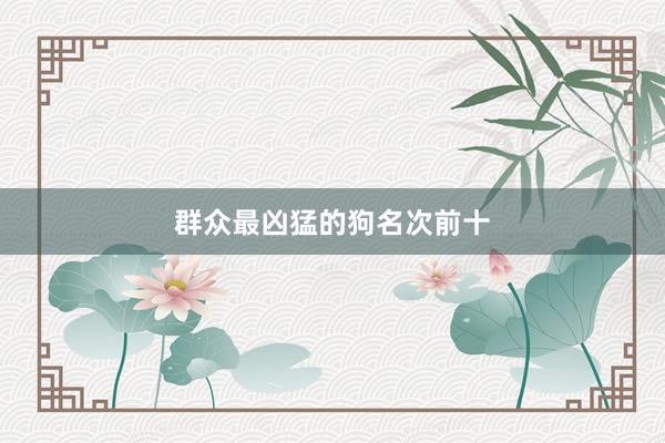 群众最凶猛的狗名次前十