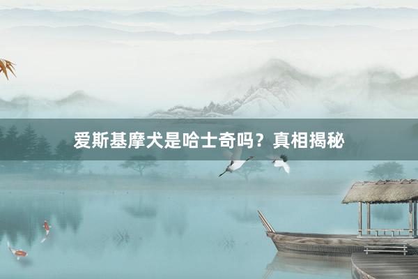 爱斯基摩犬是哈士奇吗？真相揭秘